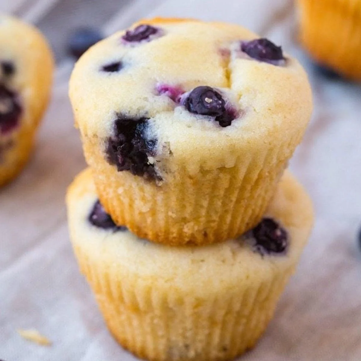 Freshly baked sugar-free blueberry muffins with juicy blueberries